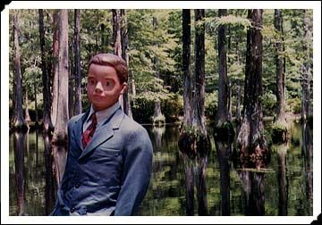 Bud in the Cypress Gardens